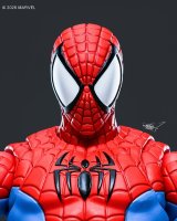 Spider-06.jpg