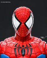 Spider-07.jpg